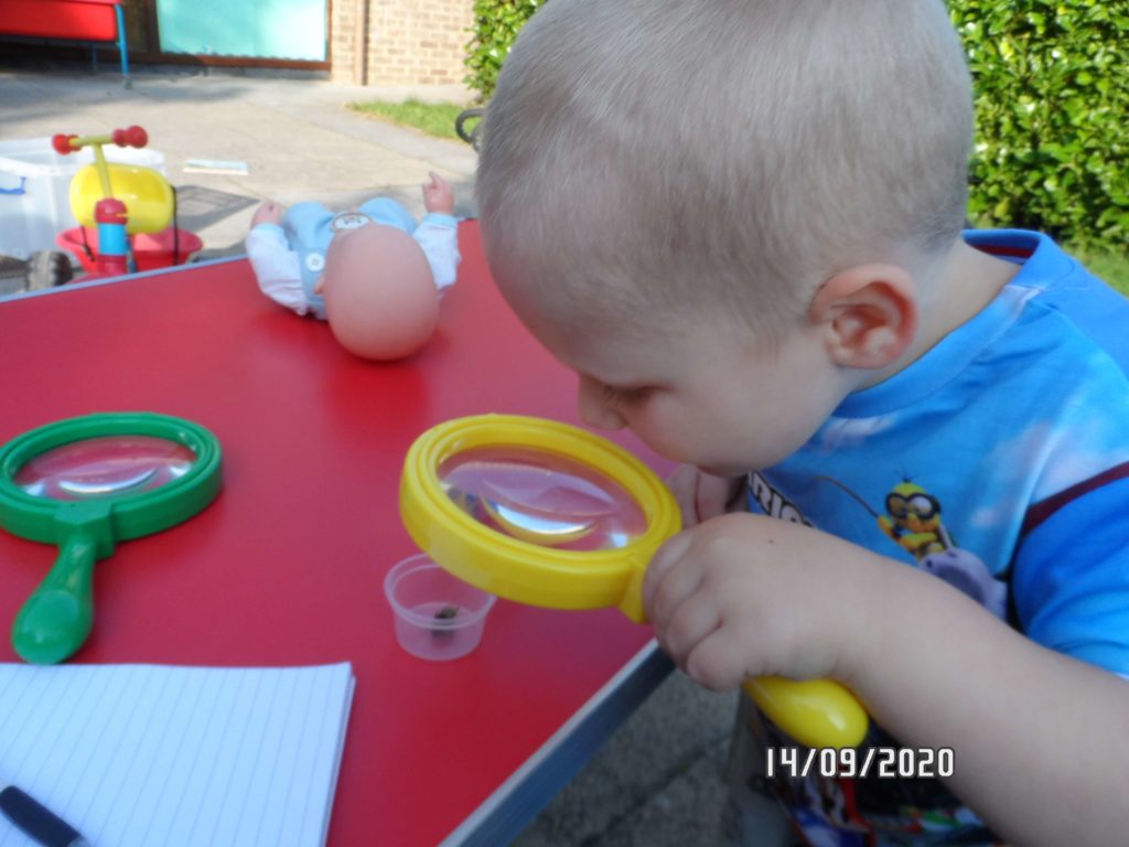 Pre-School – Exploring nature